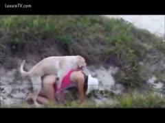 She took her dog for a fuck and a stroll.